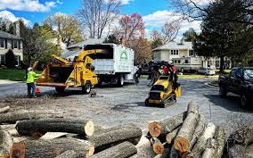Best Utility Line Clearance  in North Valley, NM